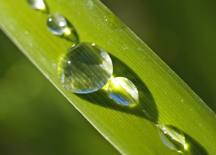 Lorem ipsum dolor sit amet, consetetur sadipscing elitr, sed diam nonumy eirmod tempor