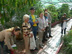 Botanikos parke